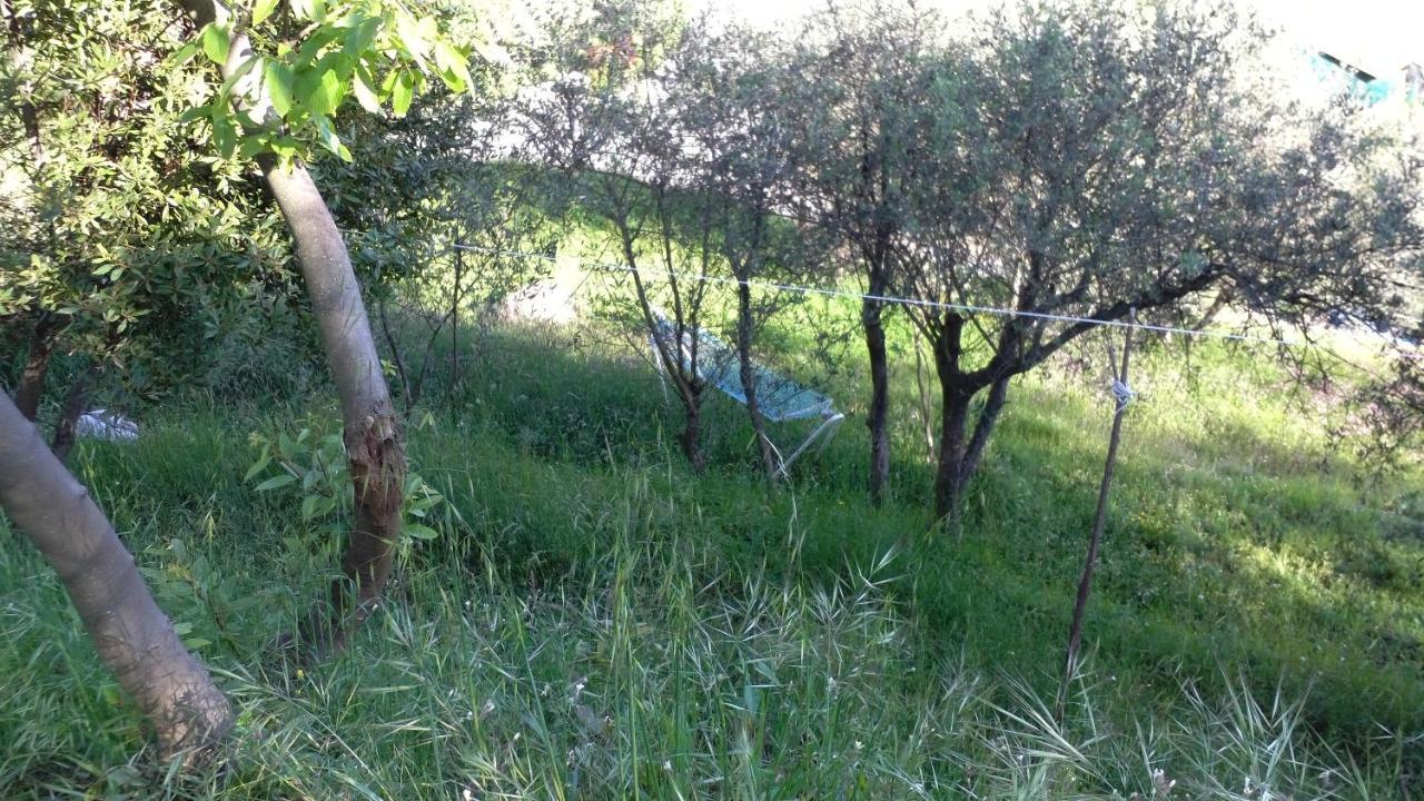 リッコ・デル・ゴルフォ・ディ・スペーツィア Cinque Terre Tra Il Filo Di Arianna Bed & Breakfast エクステリア 写真